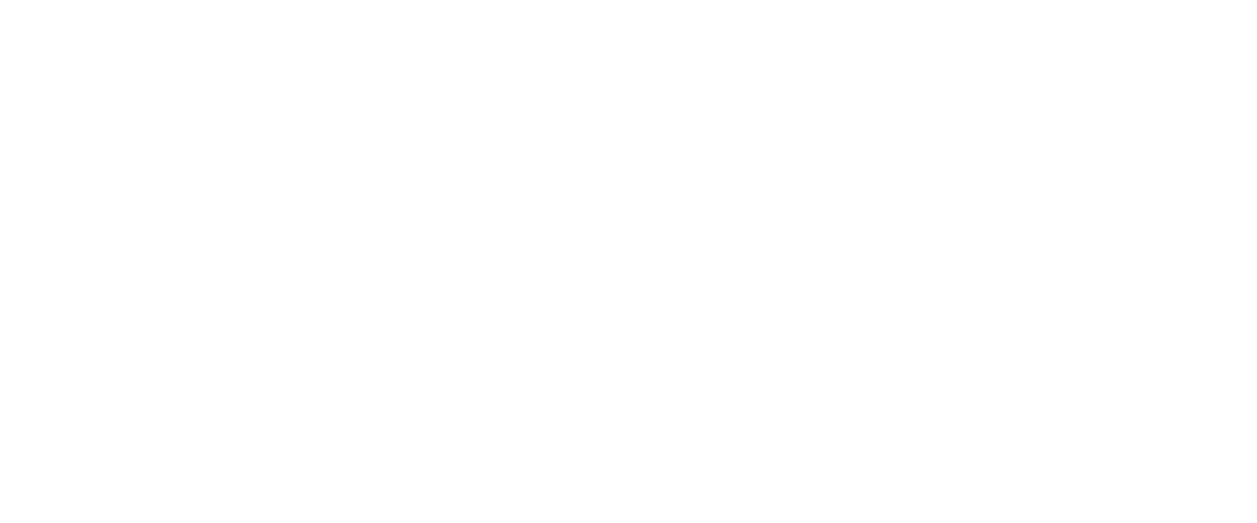 deerma italia logo - uannabi studio@2x