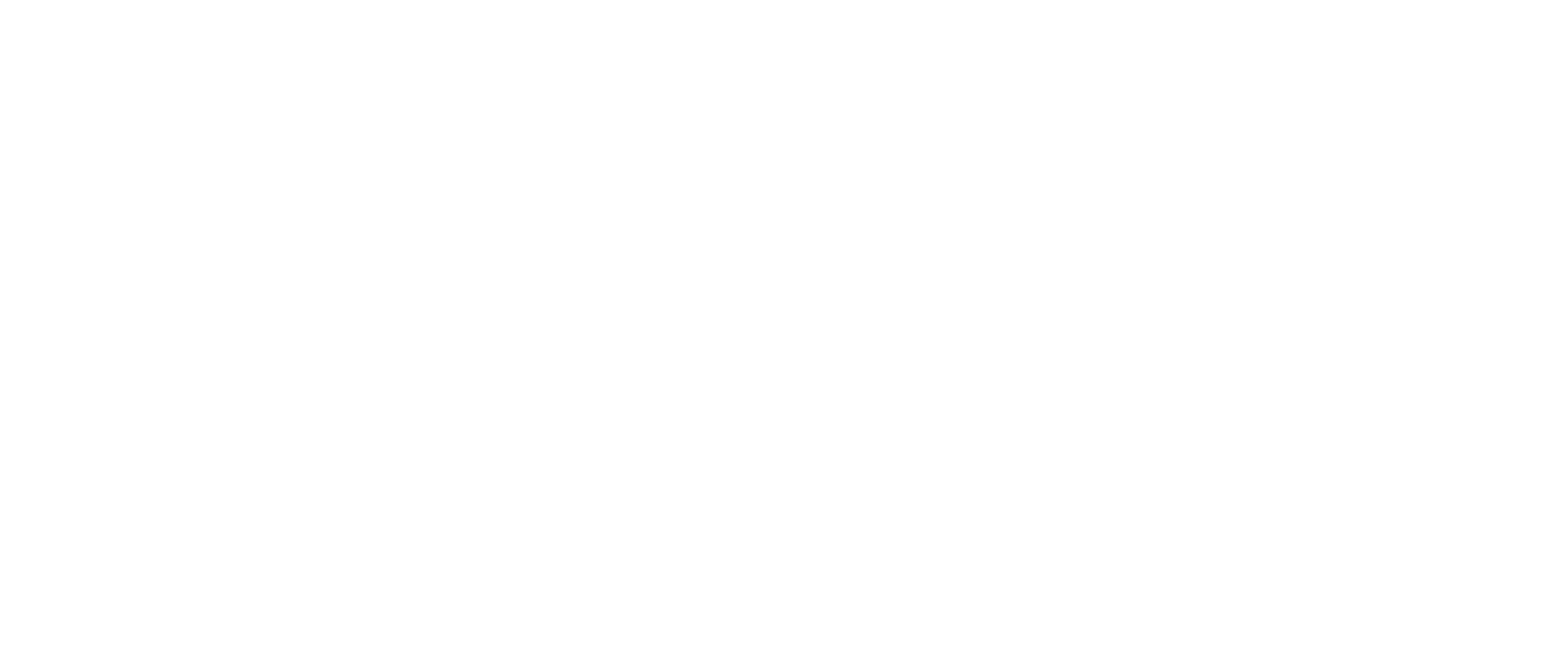 dudine shop logo - uannabi studio@2x