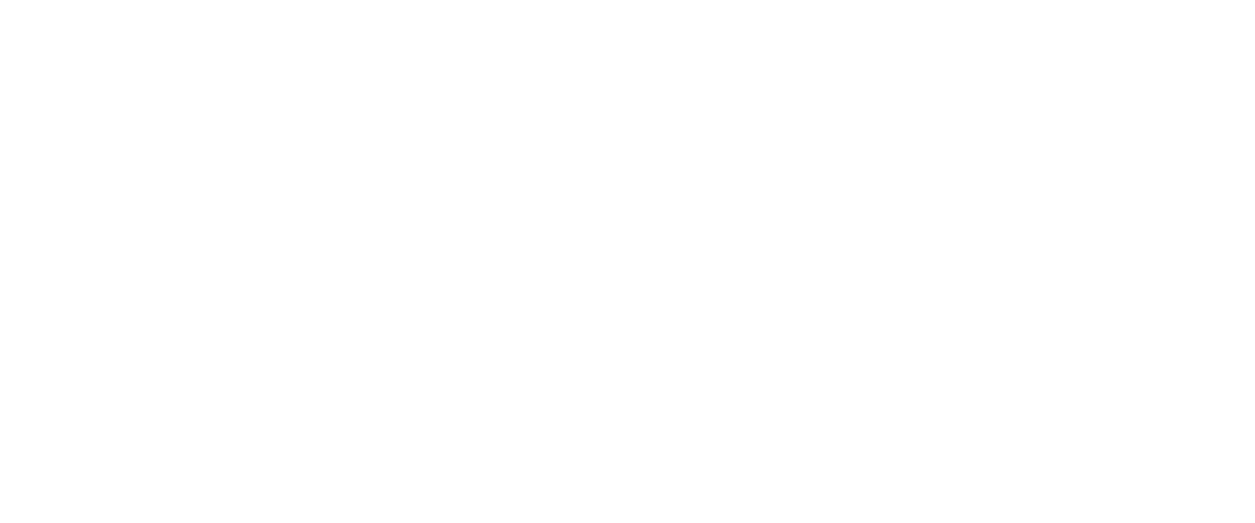 express logo - uannabi studio@2x