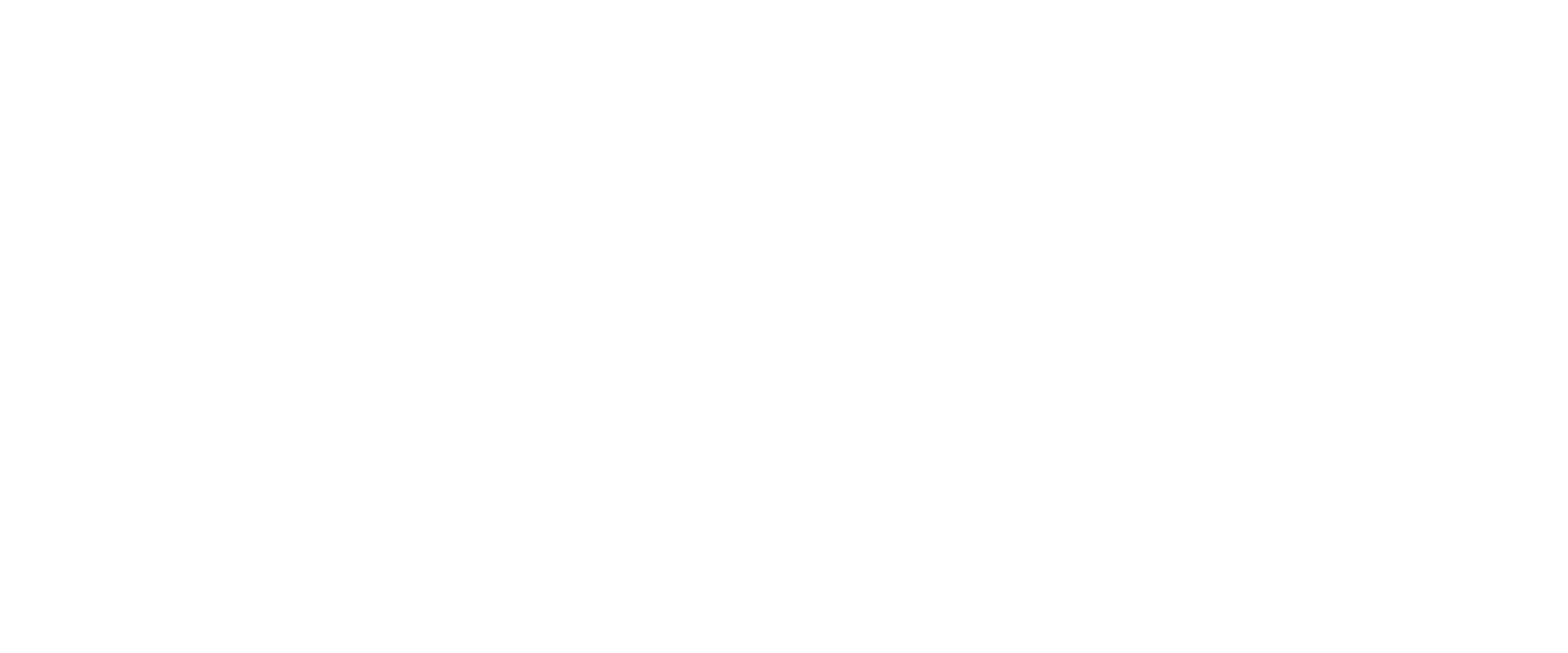 pirozzi pelletteria logo - uannabi studio@2x