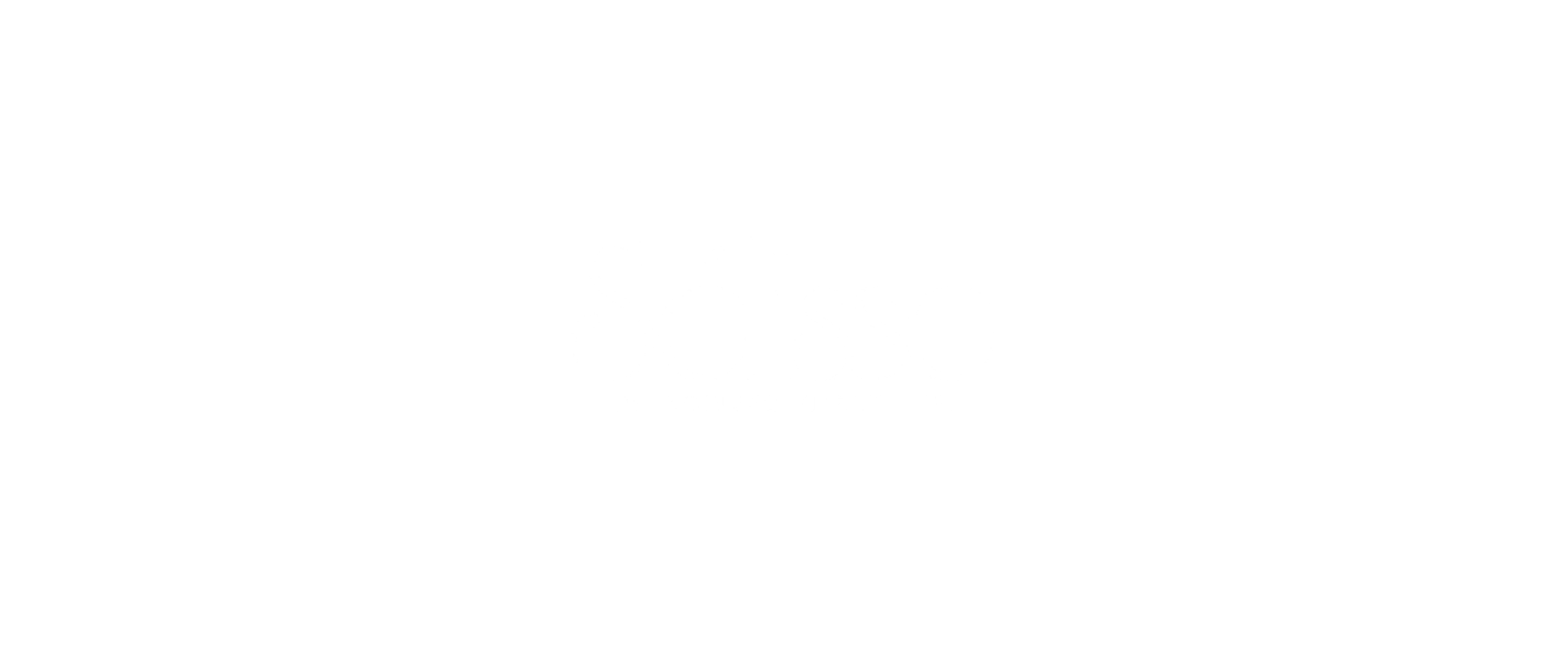 selisse lino russo parrucchieri logo - uannabi studio@2x