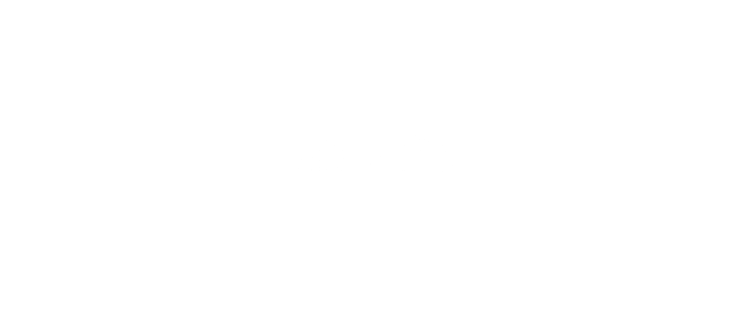 shines logo - uannabi studio@2x