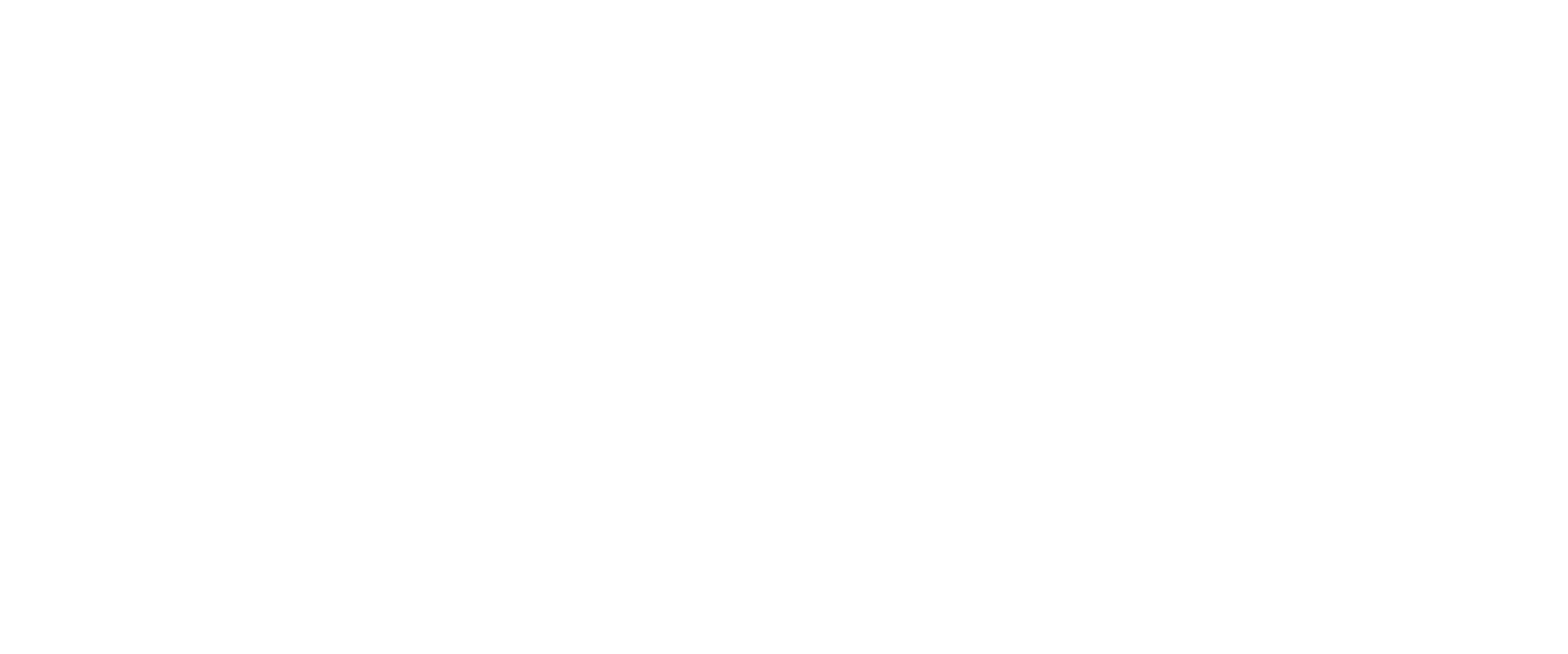 stravaganze logo - uannabi studio@2x