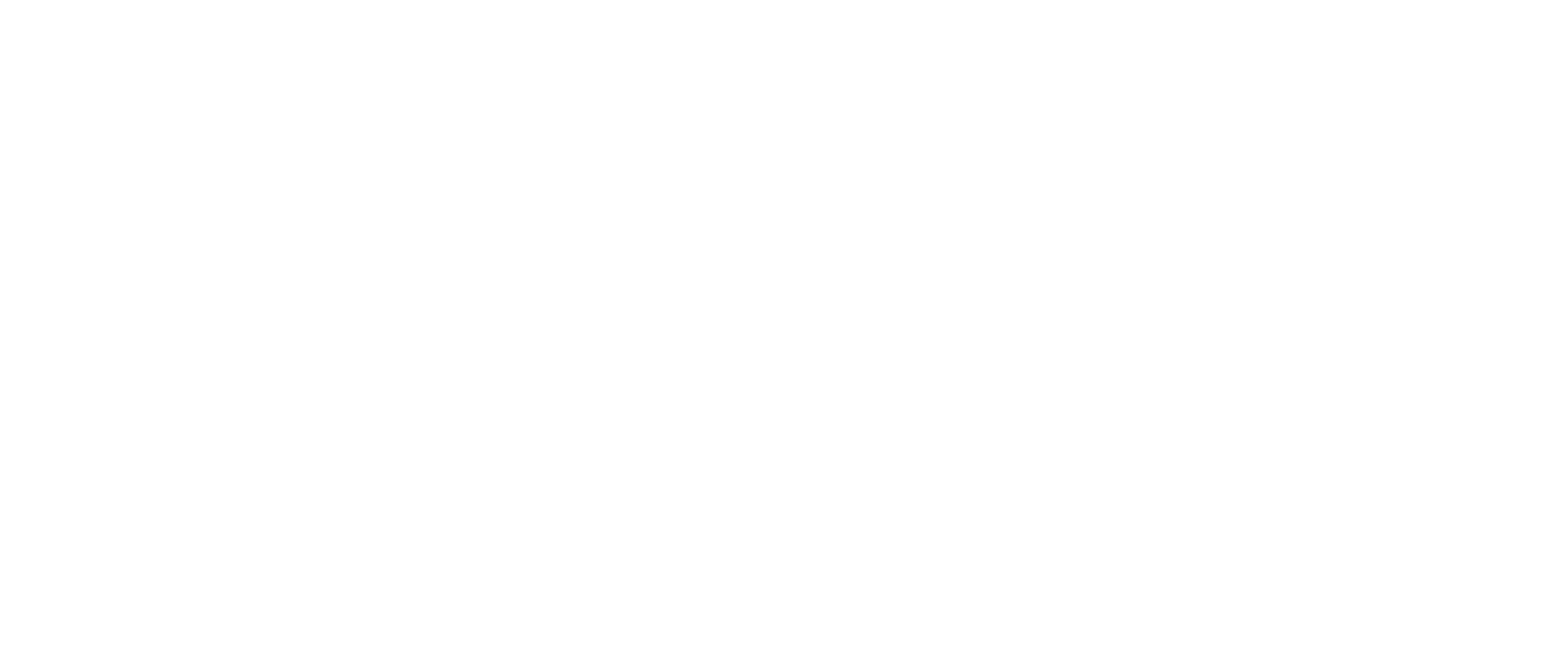 vitamizu logo - uannabi studio@2x