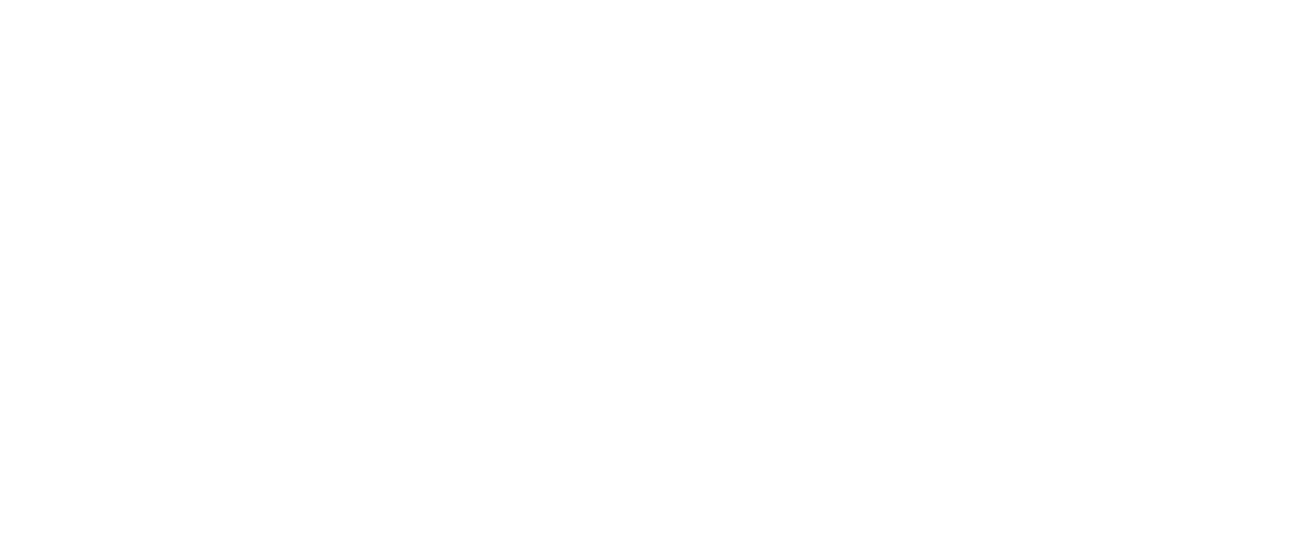 stanartis logo - uannabi studio